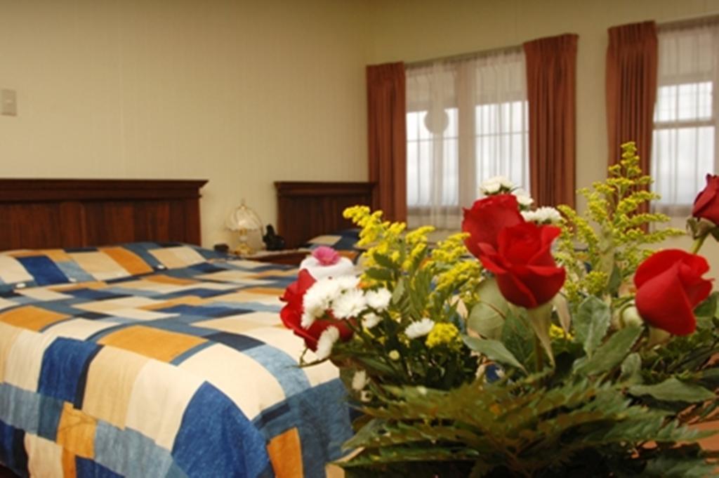 Hotel Las Brumas Cartago Bilik gambar